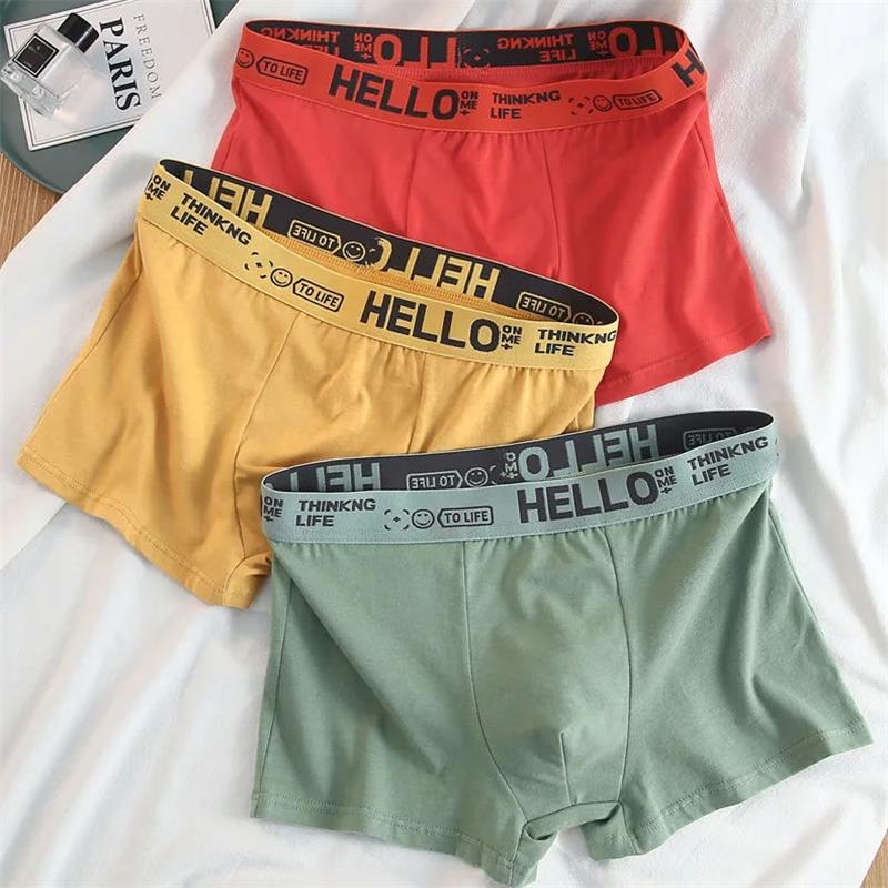 10 adet/erkek iç çamaşırı erke - Boxer Shorts Modal incelemesi ve fiyatı