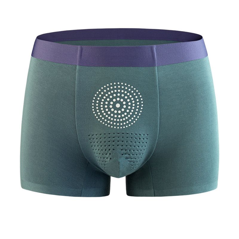 Erkek külot mıknatıs fonksiyon - Boxer Shorts Modal incelemesi ve fiyatı